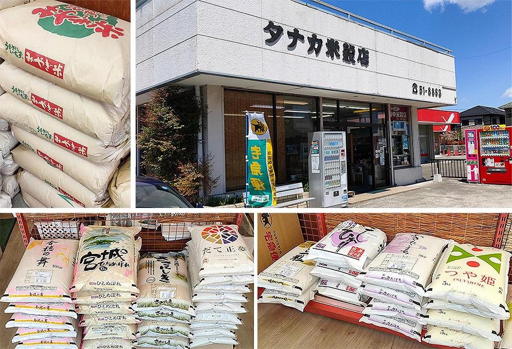 【ひとめぼれ】令和7年度産 精米 10kg（5kg×2袋）宮城県産【米 お米 こめ コメ ご飯 ごはん】 ●