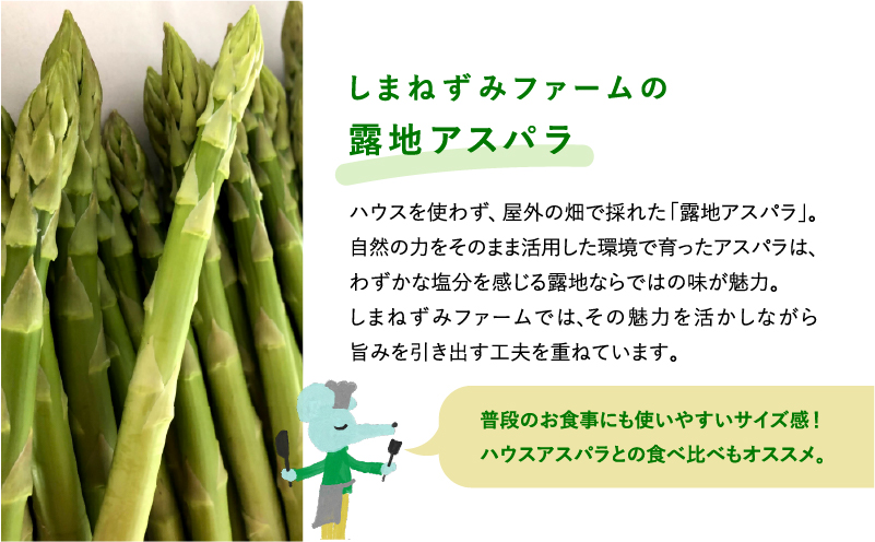 先行予約 【 2026年 発送 ！】北海道 上富良野産 露地 グリーン アスパラガス Lサイズ 800g アスパラ グリーンアスパラ 上富良野町 令和7年発送 野菜 やさい