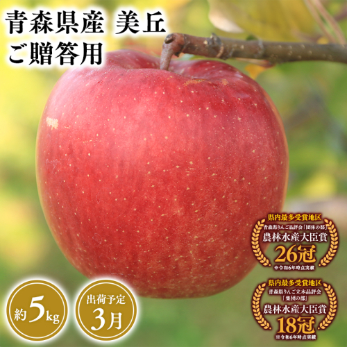 2025年産３月発送　贈答用美丘5ｋｇ　【そと川りんご園・３月・青森県産・平川市・りんご・美丘・5ｋｇ・贈答用】