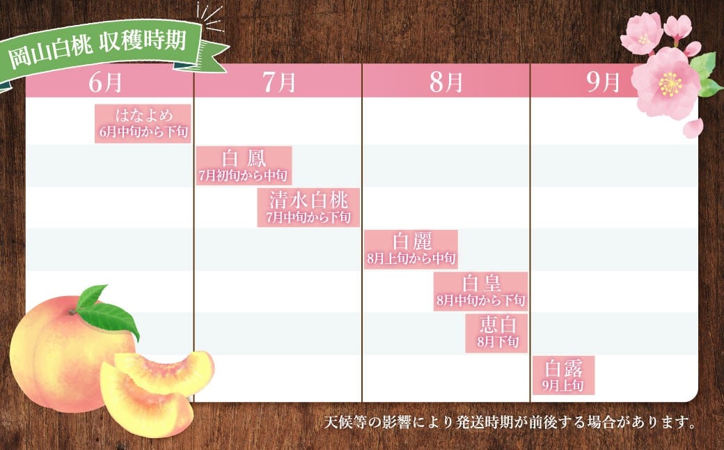 【訳あり】岡山白桃（家庭用）1.2kg以上  サイズ不揃い