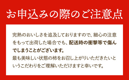 【先行予約】柿 かき ひらたねなし柿 約7.5kg 岸武青果株式会社《2025年10月中旬-12月上旬頃出荷》 和歌山県 紀の川市 柿 カキ かき 平核無柿 種なし 果物 フルーツ 送料無料