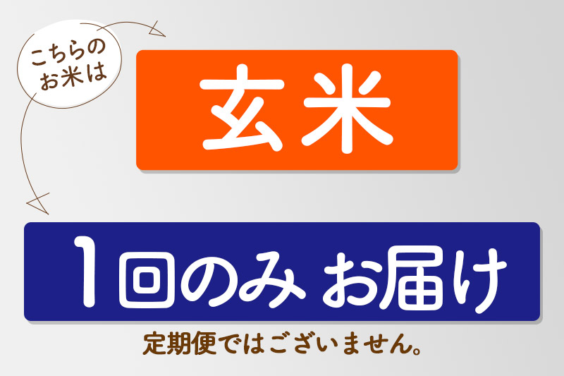 【玄米】令和7年産 新米 有機アイガモ農法コシヒカリ 25kg(5kg×5袋)金井農園