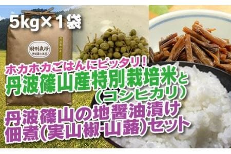 【令和6年産 新米！】丹波篠山の地醤油漬、佃煮セット　令和6年産 特別栽培米5kgと実山椒・山蕗 AD27