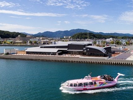 (1535)青海島観光汽船乗船券2名様分と宴会用ふぐ刺身4人前×2皿・唐揚付（冷凍）