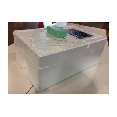 ふるさと納税 鳥取市 特選とっとり松葉ガニ「五輝星(いつきぼし)」【山根商店】 |  | 02