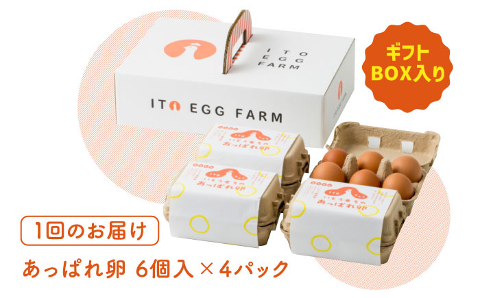 【6回定期便】いとう君ちのあっぱれ卵 24個（6個×4パック）ギフトBOX /いとう養鶏場 [UAQ010]