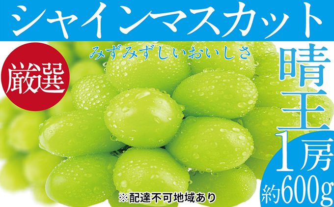 
ぶどう 2024年 先行予約 シャイン マスカット 晴王 1房 約600g ブドウ 葡萄 岡山県産 国産 フルーツ 果物 ギフト [№5220-1663]
