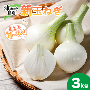 【先行予約】 津和地新玉ねぎ 3kg【津和地ブランド玉ねぎ】愛媛 松山 ブランド玉ねぎ 津和地島産 野菜 農家直送 期間限定【YMN001】
