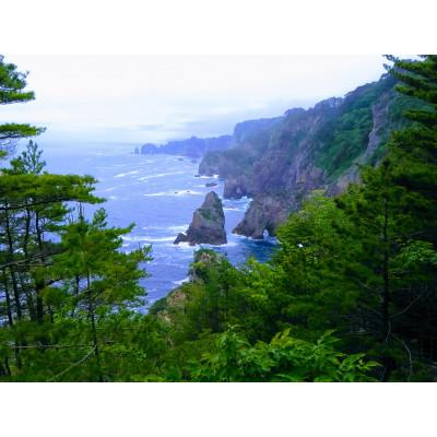 ふるさと納税 田野畑村 三陸田野畑村北山崎の天然黒昆布セット(天然黒昆布2袋・早煮昆布2袋　合計4袋) |  | 01