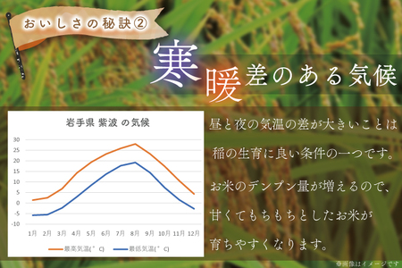 AE140　★令和5年産★【6ヶ月定期便】ひとめぼれ 5kg(無洗米)岩手県産