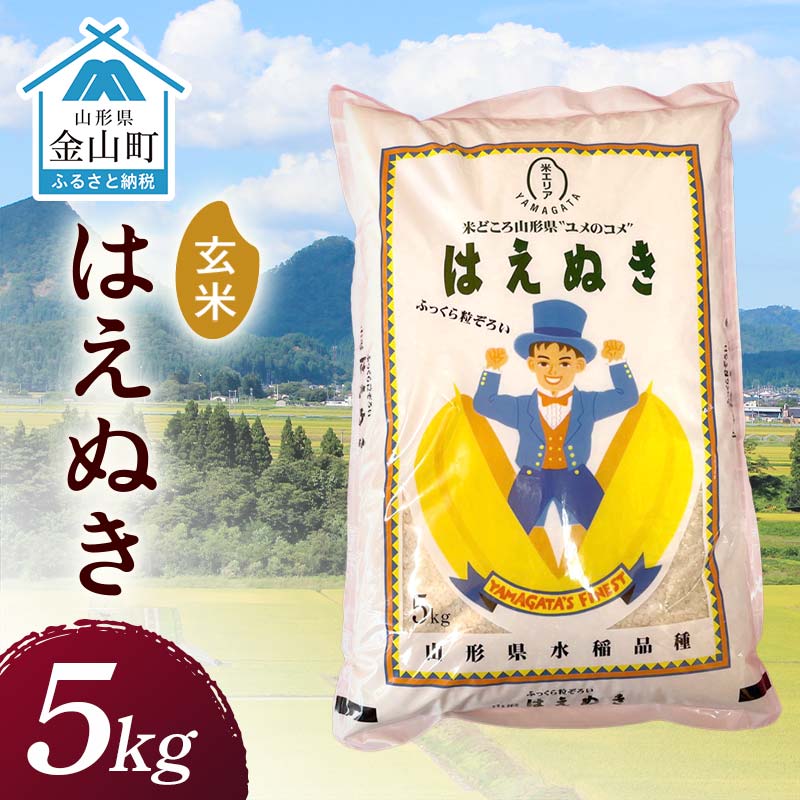 【ふるさと納税】 令和7年産 金山産米 はえぬき 【玄米】（5kg）米 お米 ご飯 玄米 ブランド米 送料無料 東北 山形 金山町 F4B-0673