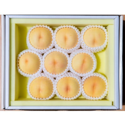 【先行予約★2026年7月下旬より順次発送予定】岡山県産　清水白桃(2kg箱)【配送不可地域：離島・北海道・沖縄】【1667419】