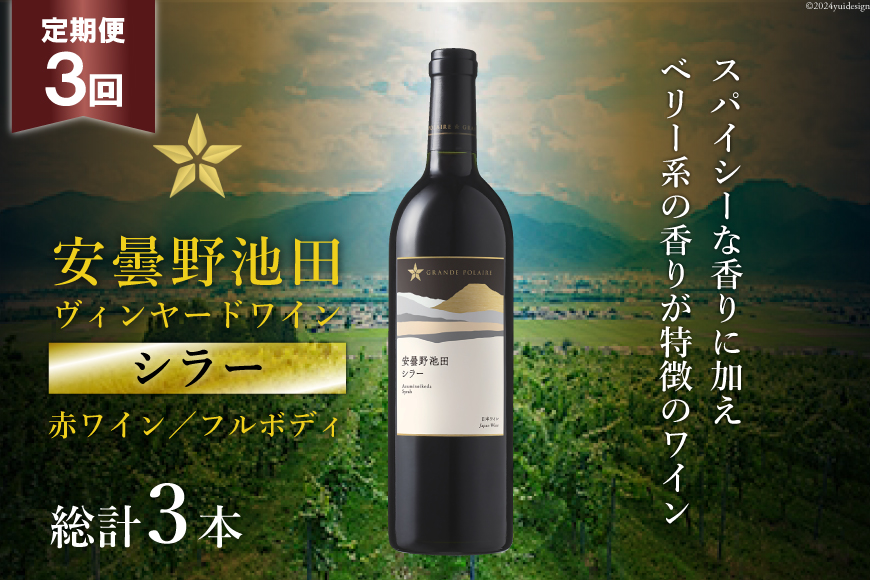 定期便 3回 赤ワイン サッポロ グランポレール 安曇野池田ヴィンヤード「シラー」750ml 総計 3本 [ナチュラルマルシェ ソヨソヨ 長野県 池田町 48110855] 赤 ワイン わいん 赤わいん フルボディ 濃厚 凝縮 お酒 酒 ふるさと納税