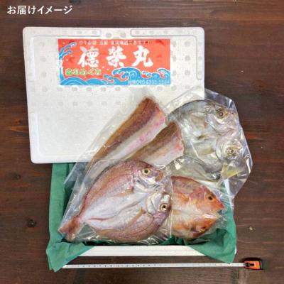 ふるさと納税 糸島市 干物 セット 4点(1匹 20cm 以上)マダイ 糸島市/徳栄丸[APD006] |  | 03