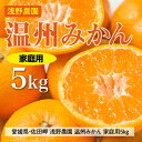 【ふるさと納税】【先行予約】浅野農園の温州みかん 家庭用5kg｜柑橘 みかん ミカン フルーツ 果物 愛媛 ※2024年12月上旬～12月中旬頃に順次発送予定 ※離島への配送不可