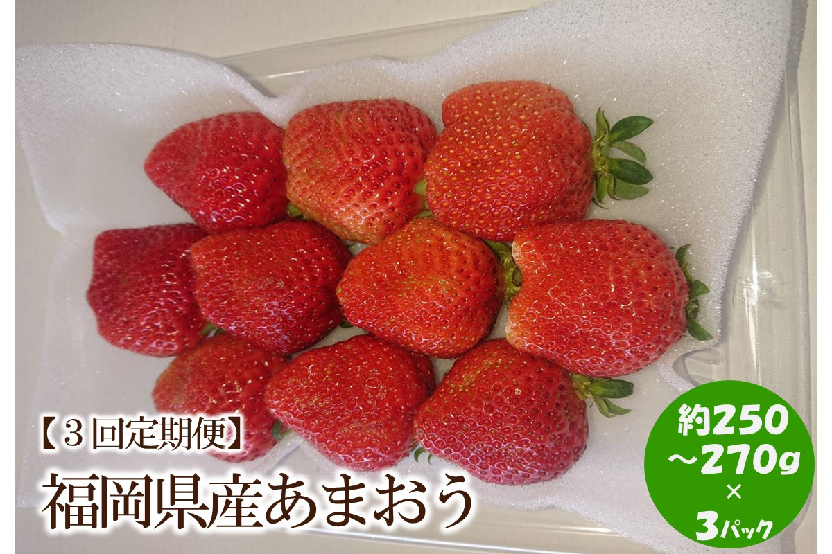 
            【2025年先行予約】【3回定期便】福岡県産あまおう約250-270g×3パック【044-0055】
          