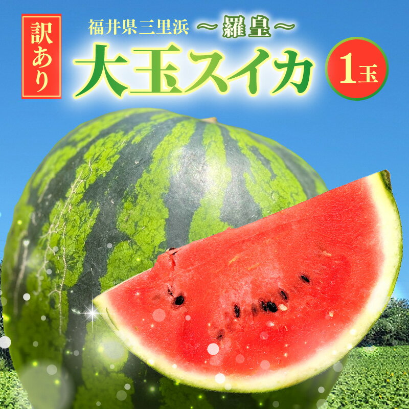 【ふるさと納税】【先行予約】【訳アリ】大玉スイカ 1玉 6kg以上 〜羅皇〜 【2026年7月中旬以降順次発送予定】【訳あり わけあり スイカ 西瓜 すいか デザート 果物 くだもの 夏フルーツ ジューシー お取り寄せ グルメ 産地直送】