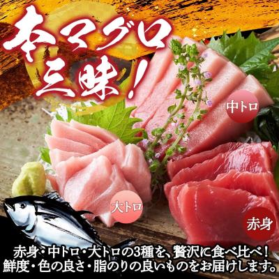 ふるさと納税 深浦町 国産天然本マグロの赤身・中トロ・大トロセット【No.5296-0031】 |  | 01