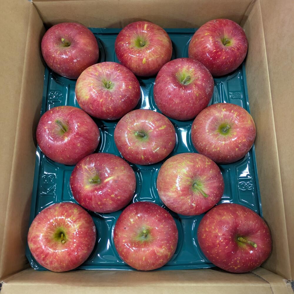 【ふるさと納税】青森県産りんご 光センサー選別サンふじ 秀A品 選べる大きさ！　りんご 国産 フルーツ 果物 林檎 リンゴ サンふじ 大玉 中玉 小玉 新鮮 青森県 三戸町