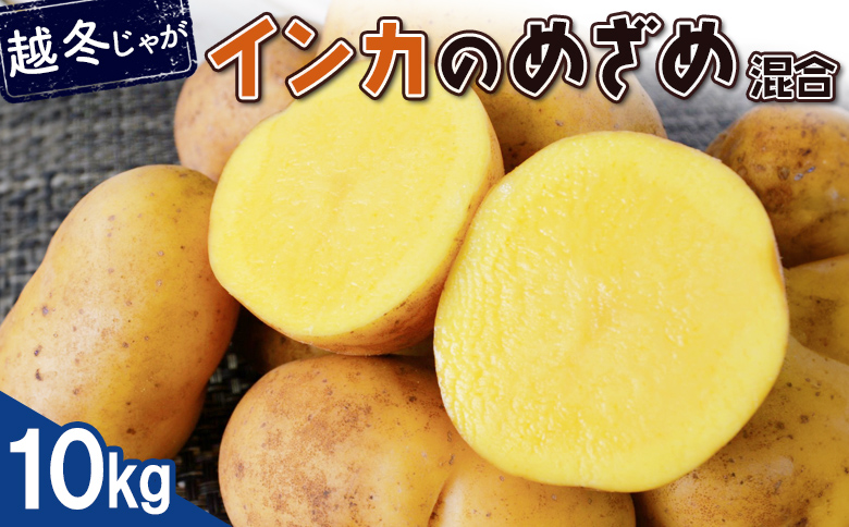 【越冬じゃが】インカのめざめ混合10kg【83001102】