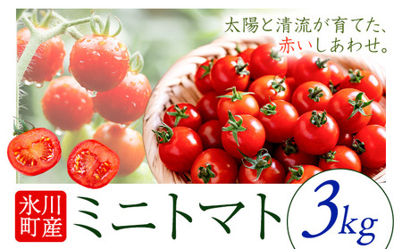 ミニトマト 約3kg 氷川アグリクラブ トマト 熊本《2月上旬-4月末頃出荷》熊本県 氷川町 野菜 熊本県産 サラダ プチトマト 国産