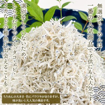 ふるさと納税 西予市 <井上のちりめん 無選別 合計約360g(180g入り×2袋)> ちりめんじゃこ タコ エビ イカ |  | 01