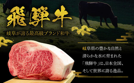 A5等級 飛騨牛 切り落とし 1kg (250g×4P) / 飛騨牛 国産 [AZCW002]