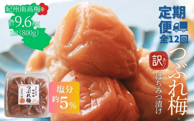 
                  【定期便全12回】【塩分約5％】和歌山県紀州南高梅つぶれ  はちみつ漬け　訳あり 800g　agrjpn-tkb015
                