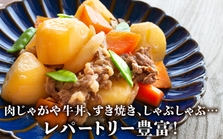 【様々な料理に使いやすい】＜全3回定期便＞佐賀牛切り落とし 1㎏（500g×2パック）【がばいフーズ】佐賀牛 すき焼き しゃぶしゃぶ[HCS032]