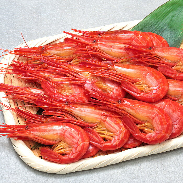 【ふるさと納税】 [北海道根室産] 北海しまえび 500g ( 24 ~ 30 尾 ) エビ えび 海老 シマエビ 北海シマエビ しまえび 縞えび 縞エビ 縞海老 お取り寄せ グルメ 海鮮 煮えび 煮エビ 煮海老 おつまみ おせち 北海道 根室市 ふるさと納税 A-06010