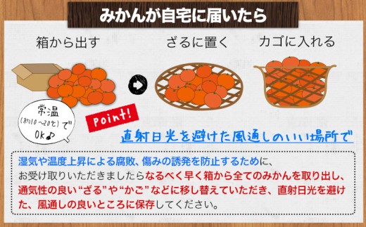 日高川町産みかん 約5kg 2S-M サイズおまかせ マル二《2026年10月中旬-11月末頃出荷》 和歌山県 日高川町 旬 新鮮 果物 柑橘 フルーツ 国産 送料無料 ミカン みかん