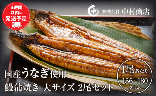 鰻蒲焼 大サイズ2尾セット うなぎ 国産 国産鰻 国産うなぎ 丑の日 うなぎ蒲焼 かばやき うな重 ひつまぶし 冬うなぎ おすすめ オススメ 九州 贈答 贈り物 ギフト プレゼント ご褒美 用の丑の日 おかず 惣菜 宮崎県 宮崎市 宮崎_M069-008_03