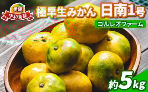 蜜柑 愛媛 極早生 みかん 日南1号 5kg S~L サイズ 混合 先行予約 コルレオファーム 極早生みかん mikan さっぱり 爽やか 甘味 酸味 果物 フルーツ 柑橘 農家直送 産地直送 数量限定 国産 宇和島 B010-145011