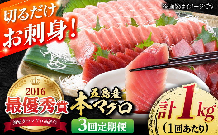 
            【3回定期便】本マグロブロック詰合せ1kg（養殖） 五島市[PCL009]マグロ まぐろ 鮪 柵まぐろ 養殖マグロ まぐろ刺身 さく さしみ 五島 五島列島 養殖 冷凍 人気 おすすめ 魚 鮮魚
          