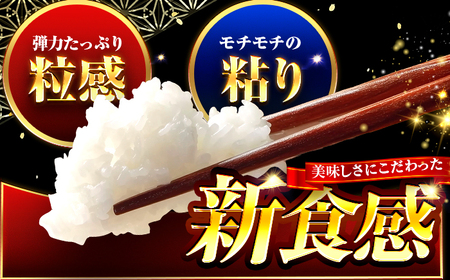 【3か月連続発送】福井県産 いちほまれ 精米 10kg 県産ブランド米 / コメ 白米 新米 米 小浜市 / 梅田東米穀店[BFEK033]