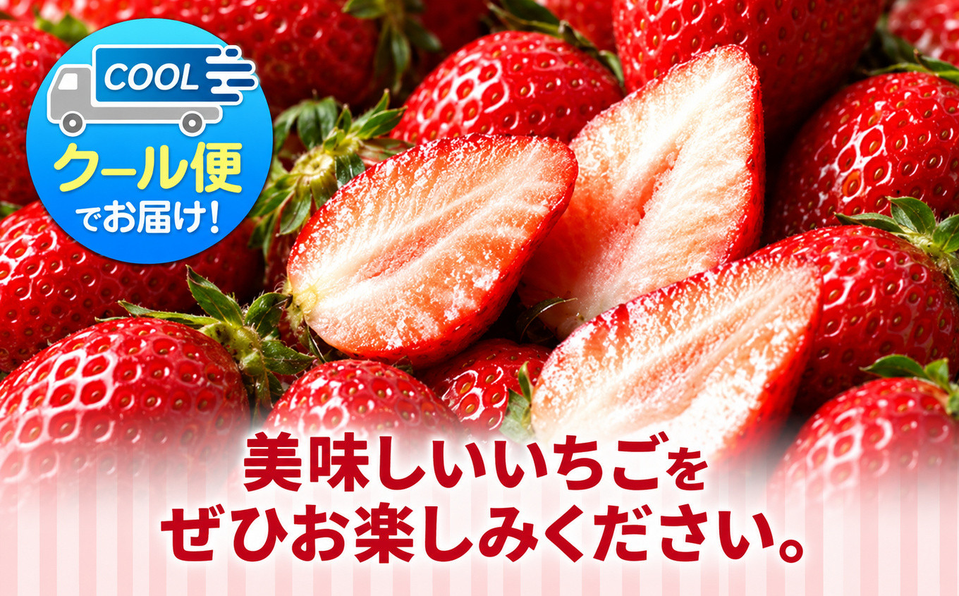 【定期便2回】いちご 2L以上 大粒 とちあいか1kg以上【2027年先行予約】 | 苺 イチゴ 栃木県共通返礼品