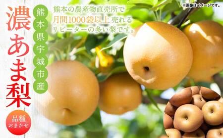 梨 濃あま梨 約3kg 6〜10玉前後 なし 秋月 幸水 豊水 新高 秋麗 甘太 和梨 品種おまかせ 冷蔵 国産 九州 熊本県 宇城市 小川町産 農園とフォーク青果店 8月上旬から9月下旬発送予定