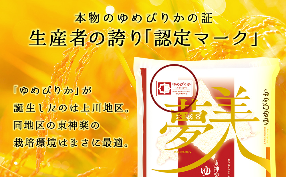 【令和8年産 新米】【お米の定期便】ゆめぴりか 普通精米 5kg 全6回 奇数月