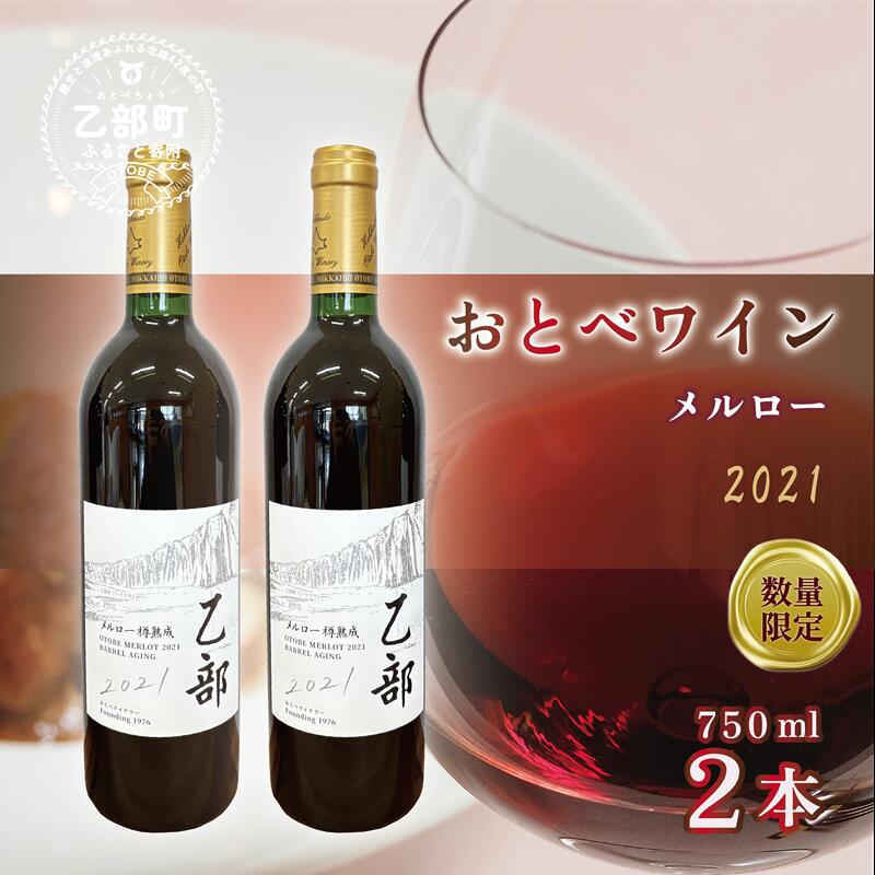 【ふるさと納税】＜おとべワイン メルロー 750ml×2本セット＞北海道 乙部町 道産 道南 道南ワイン おとべワイン ワイン 赤ワイン 限定 限定品 芳醇 香り
