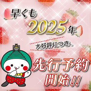 【2025年先行予約】JAはが野厳選！ とちあいか (290g×4パック）約1,160g 