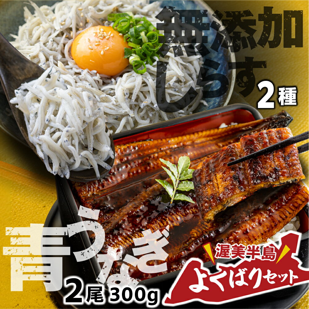【ふるさと納税】青うなぎ＆しらす干し 渥美半島よくばりセット 蒲焼き 鰻 ウナギ うなぎ蒲焼 惣菜 幻 簡単調理 おいしい 高評価 ふるさと納税 魚 さかな 魚介 ランキング しらす シラス おすすめ 送料無料