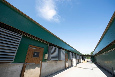 【農場直送】元気豚 煮豚セット 300g×5個_煮豚 セット 農場直送_【配送不可地域：離島・沖縄県】 TAKB015