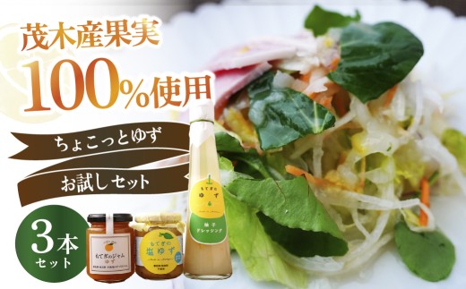 柚子のジャム＆調味料 お試しセット ジャム＆ドレッシング＆塩ゆず３本セット | ゆず 柚子 トッピング 柑橘 焼肉 タレ ドレッシング サラダ 野菜 ノンオイル ヘルシー マリネ カルパッチョ しおゆず 果実 フルーツ 手作り 果肉 朝食 トースト パン ヨーグルト 詰め合わせ 無着色 保存料 不使用 調味料 料理 調理 冷奴 冷ややっこ 浅漬け もてぎプラザ 栃木県 茂木町