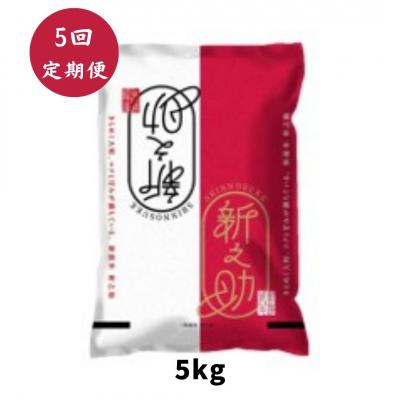 ふるさと納税 阿賀野市 【令和7年産】【5回定期便】阿賀野市産「新之助」5kg(5kg×1袋)×5回 安田興和農事 |  | 01