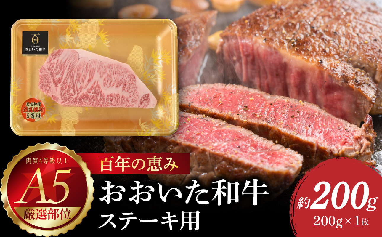 
            百年の恵み　おおいた和牛A5　ステーキ用【厳選部位】約200g 牛肉 和牛 ステーキ用 ロース 肩ロース サーロイン 厳選部位 A5 霜降り 冷凍 A01103
          
