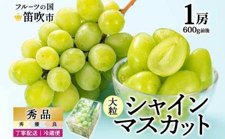 【2026年発送★先行予約】シャインマスカット 1房 600g前後 クール便配送 177-008-26y