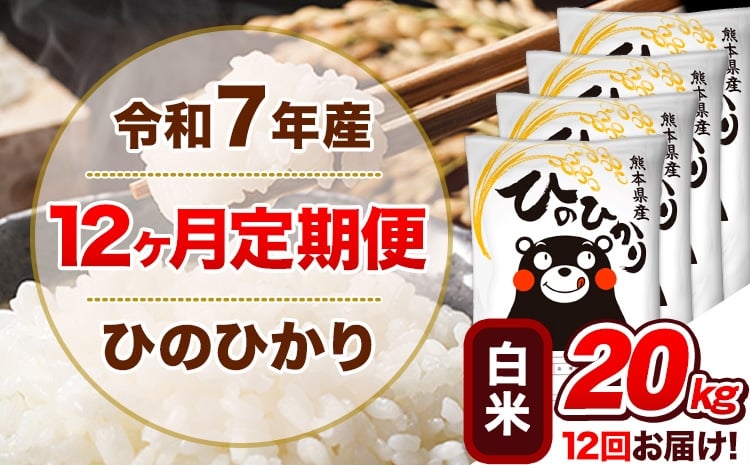 
             令和7年産【12ヵ月定期便】 白米 ひのひかり 定期便 20kg 5kg×4袋《お申込み翌月から出荷》 熊本県産 精米 ひの 米 こめ ヒノヒカリ コメ お米
          