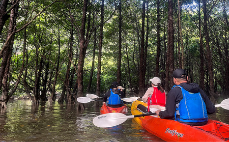初心者大歓迎！マングローブ満喫のんびりカヤックツアー（ペアチケット） カヤック 初心者 大歓迎 マングローブ ペアチケット わんさか大浦パーク ツアー 大自然 2名 おすすめ オススメ 南国気分 沖縄