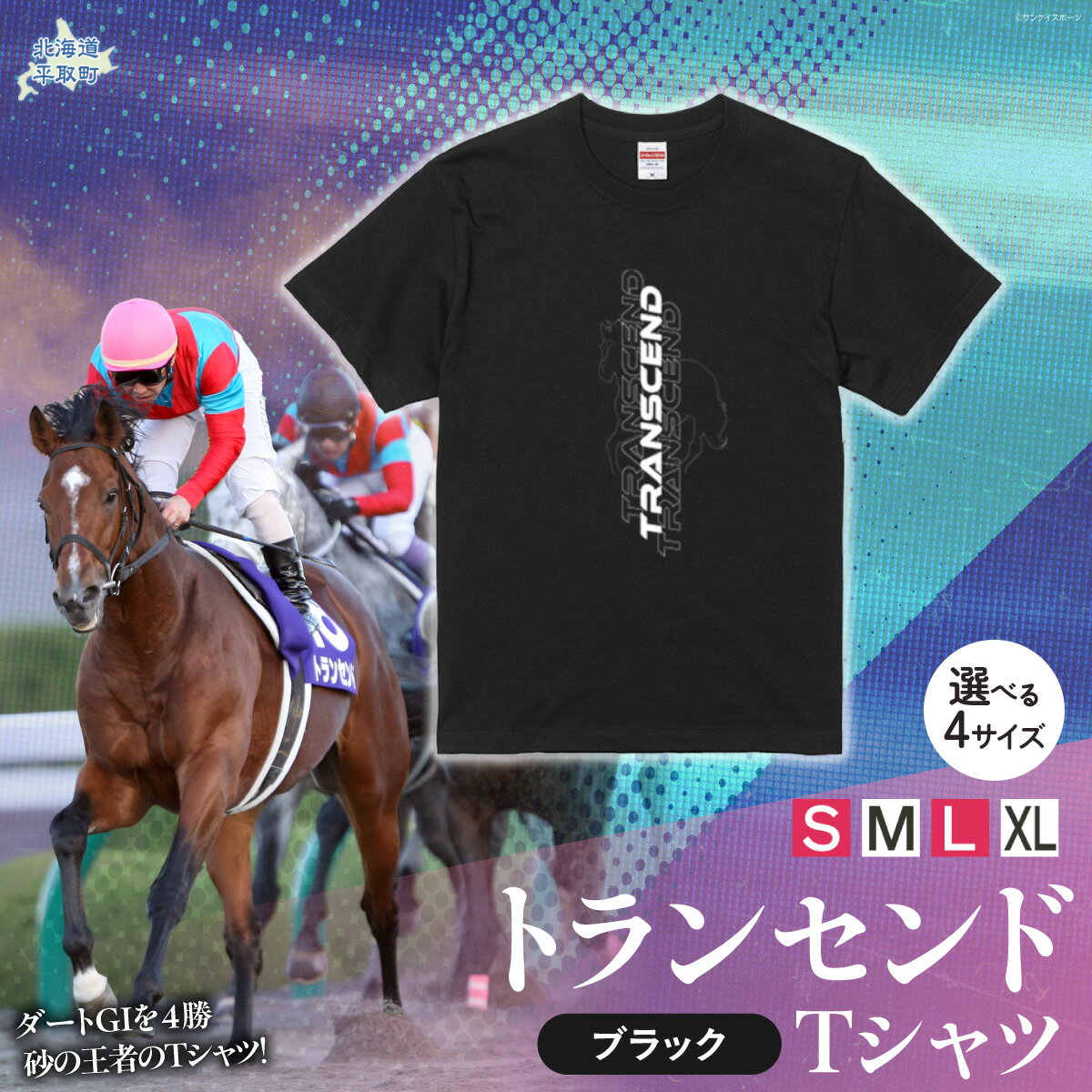 【ふるさと納税】【トランセンド】Tシャツ 選べる4サイズ【 S , M , L , XL 】【ふるさと納税 人気 おすすめ ランキング 馬 競馬 競走馬 引退馬 トランセンド Tシャツ シャツ 服 飾り物 生活 日用品 日高 北海道 平取町 送料無料】 BRTV150-v