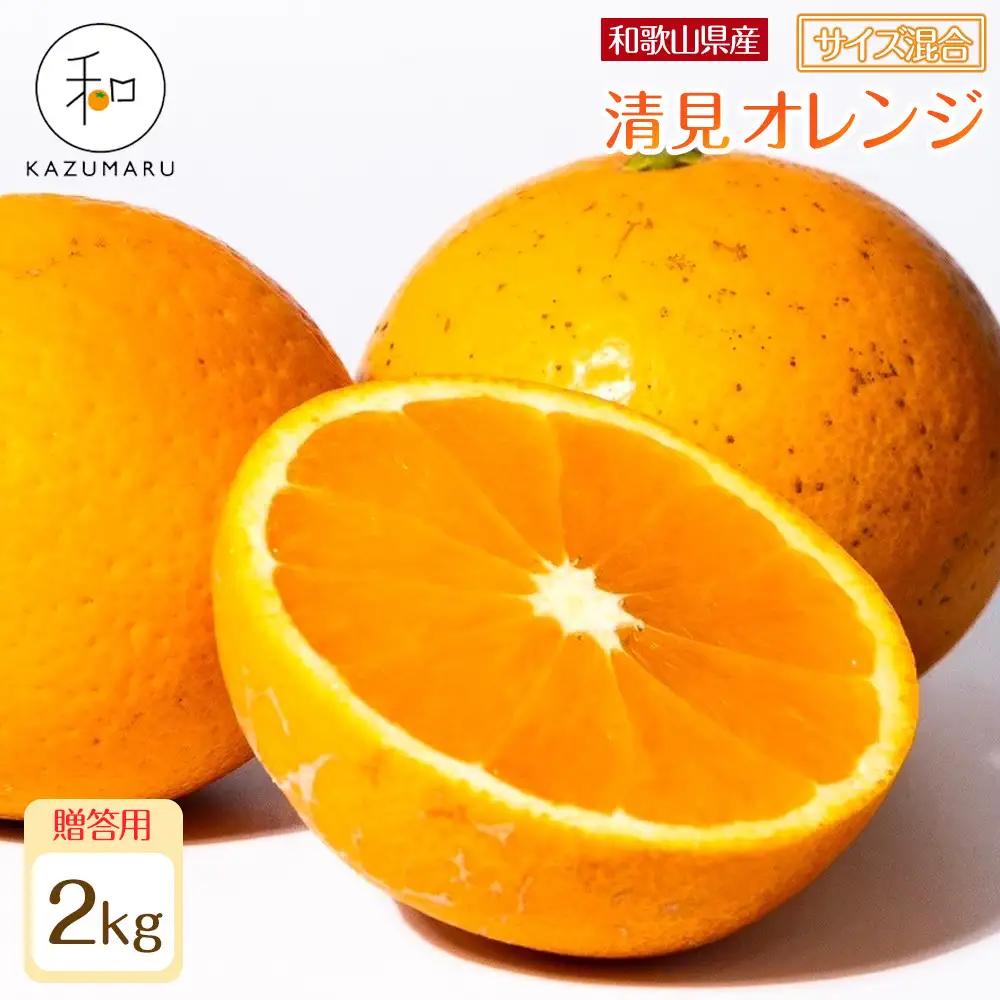 贈答用 森本農園の手選別 厳選清見オレンジ 約2kg 和歌山県産 サイズ混合 ［北海道・沖縄・離島配送不可］［2026年2月上旬から順次発送予定］［RN88］